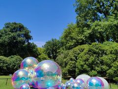 -上海共青森林公园