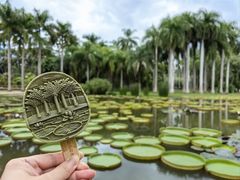 -中国科学院西双版纳热带植物园