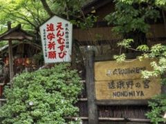 -野宫神社