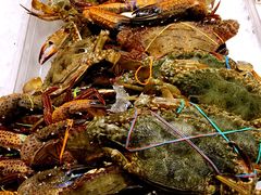 -Isla Sugbu Seafood City