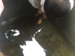 -西安国际创新人才交流中心•药浴温泉