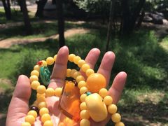 -大同王府至尊酒店