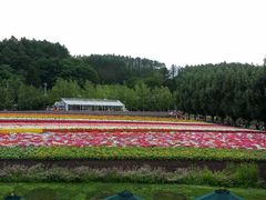 -富田农场