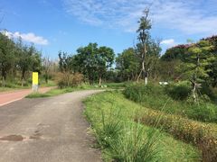 -白鹭湾湿地公园