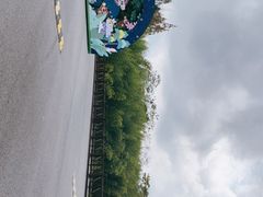 -黄海国家森林公园