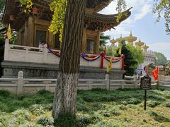 -上海东林寺(金山区)