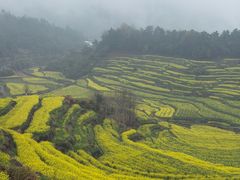 -灵山景区梯田