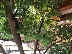 -蜜桃餐厅·伴山(湖滨商业街店)