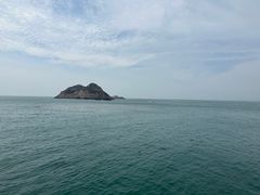 -枸杞岛