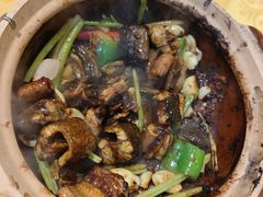 -天宝食坊·啫啫煲大排档(西华路店)