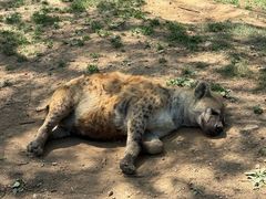 -大连森林动物园