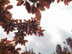-济南植物园
