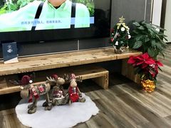 -Dr.Z dental仁康种植矫正中心