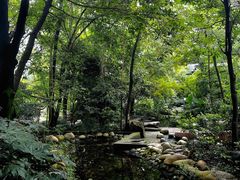 -成都市活水公园