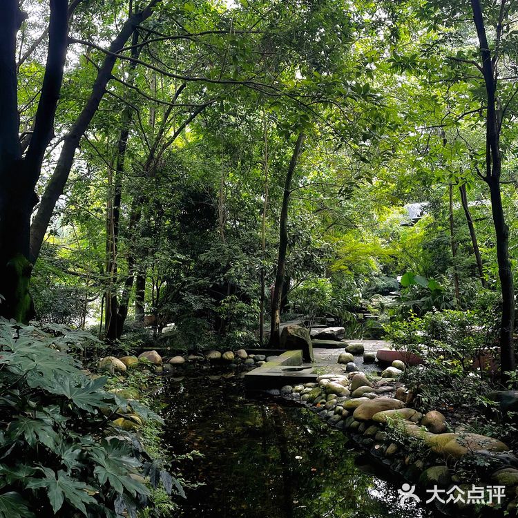 成都活水公园｜悄悄咪咪告诉你出片巨好看🧸