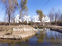 -东郊湿地公园