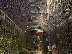 -胡桃里音乐酒馆(东区店)