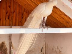 -金庭庄园酒店-停车场