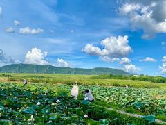 -光明小镇欢乐田园