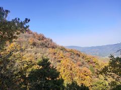 -北京西山国家森林公园