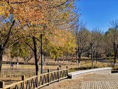 -北京奥林匹克公园