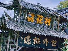 -南汇桃花村