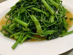 -月圆霖特色农家乐