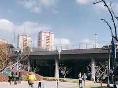 -陆家嘴世纪金融广场