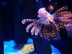 -成都浩海立方海洋公园