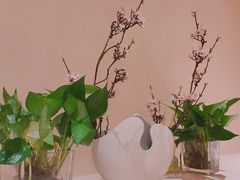 -Sakura·美颜社·日式私汤SPA