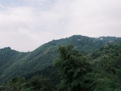 -莫干山风景区