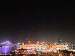 -武汉两江游览·夜游长江(汉口粤汉码头)