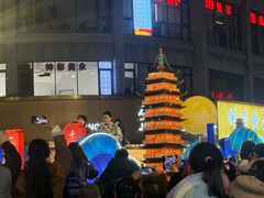 -常熟方塔园