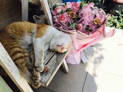 -默迹咖啡馆