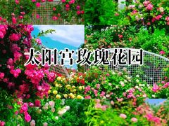 -太阳宫公园