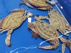 -万宝海鲜舫(劳动公园店)