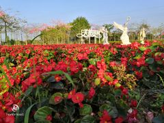 -广东花都香草世界旅游度假区