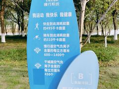 -贡湖湾湿地公园
