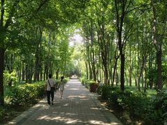 -洛阳市隋唐城遗址植物园