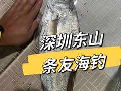 -东山码头
