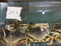 -白沙洲农产品大市场海鲜交易区