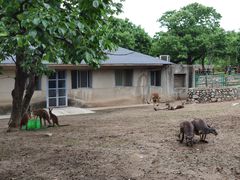 -西安秦岭野生动物园