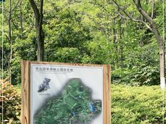 -杭州半山国家森林公园