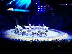 -珠海横琴长隆《卡卡虎奇遇记》