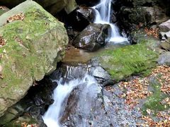 -Banana本娜娜·按摩养生SPA(上海湾店)