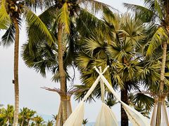 -宴悦海鲜餐厅·游水海鲜·牛排(亚龙湾瑞吉店)
