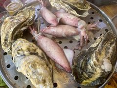 海蛎子-九层海鲜塔(市南店)