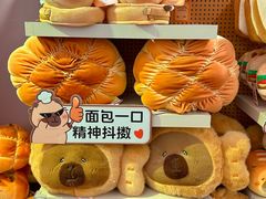 -首开·龙湖成都西宸天街