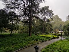-中山公园