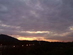 -桃花岛景观公园